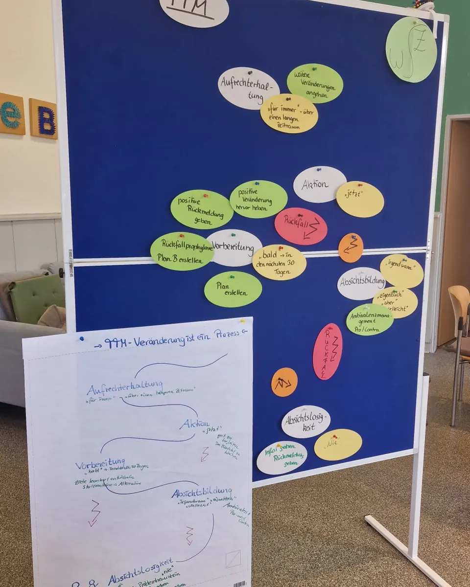 Pinnwand mit Moderationskarten zu Abläufen der Prävention im Verein.